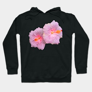 Purple hibiscus Hoodie